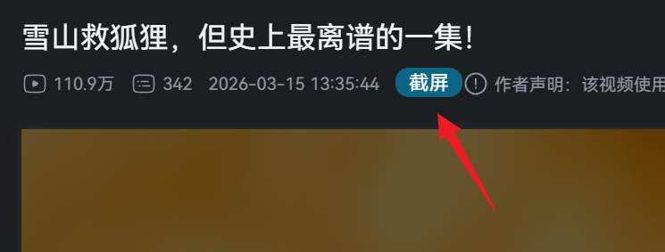 image-20260317165037067